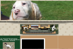 $200 Best Affordable Custom Budget Website SEO Google Ranking Small Business New Website Change Phone 570.445.4550